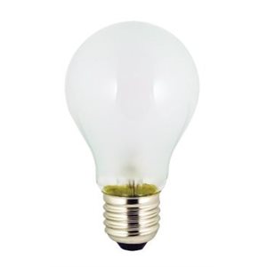 12v25w screw bulb